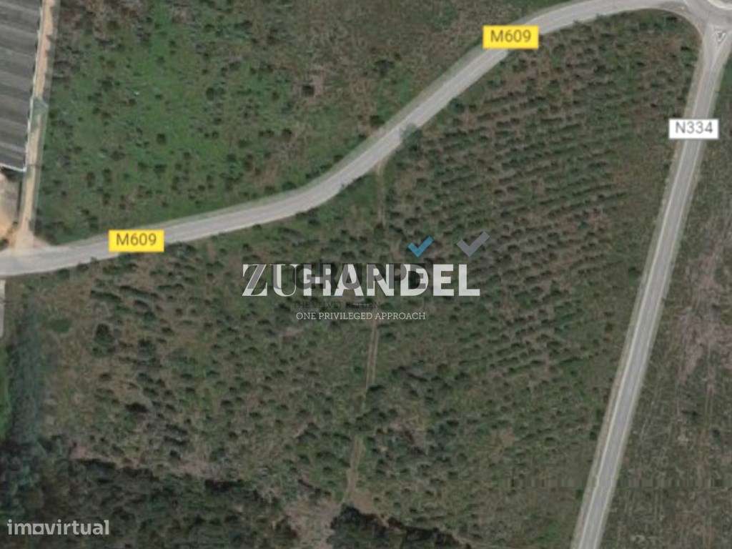 Lote de terreno com cerca de 26.000 m2 inserido em espaço para Ativ... - Grande imagem: 5/5