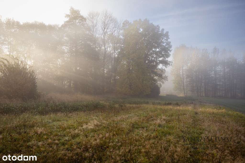 Atrakcyjna działka w m. Zalas, gmina Krzeszowice - Pełny obrazek: 5/12