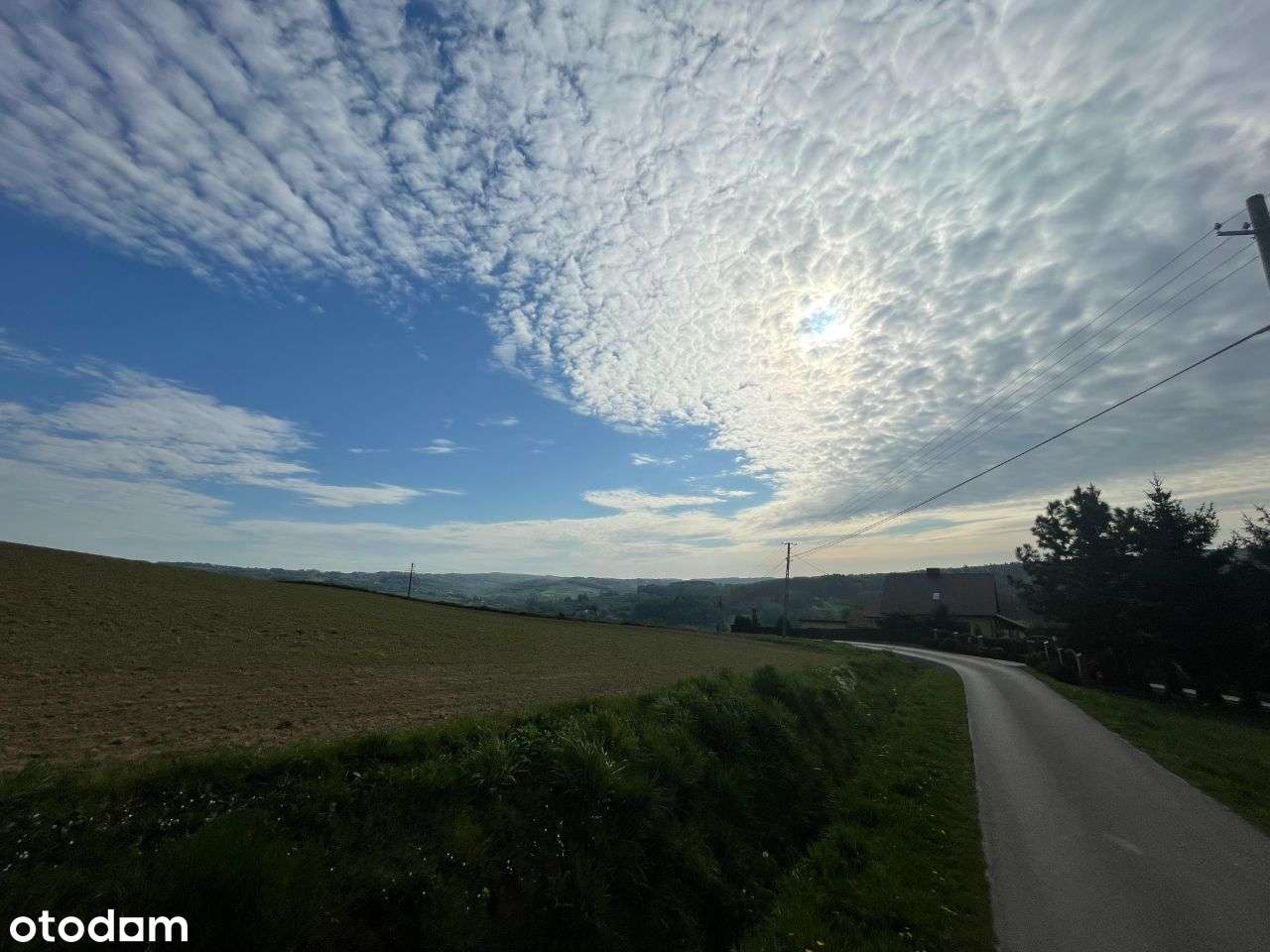 Gumniska 2 działki budowlane/plus teren/2.37h łącznie - Pełny obrazek: 4/7