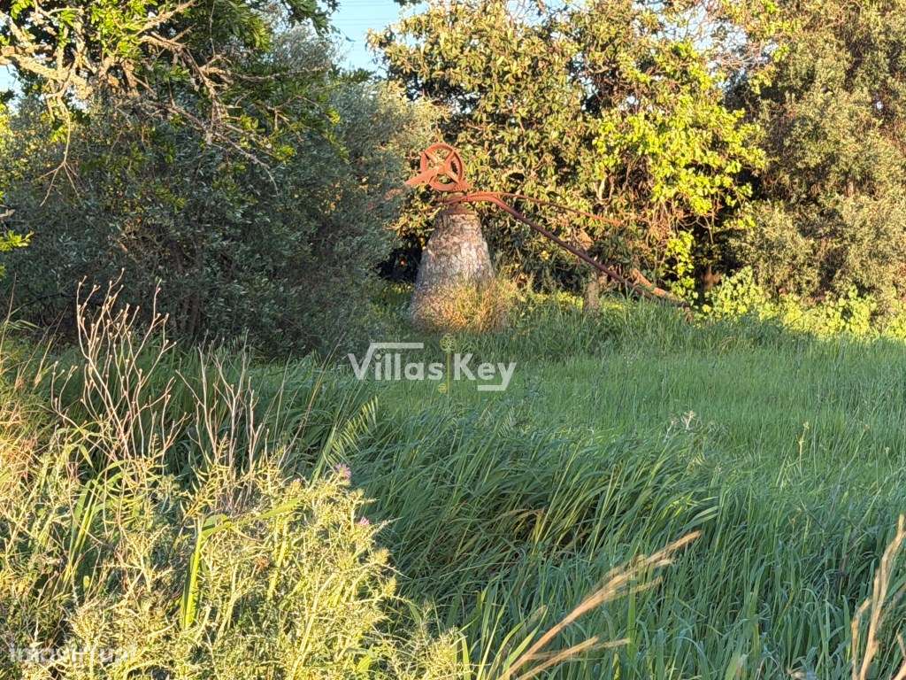 Terreno rústico com terra fértil para agricultura, tanque,nora,bons...-14