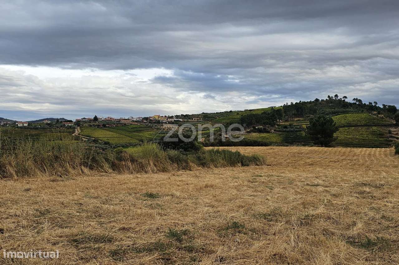 Terreno rústico , Murça - Grande imagem: 5/9