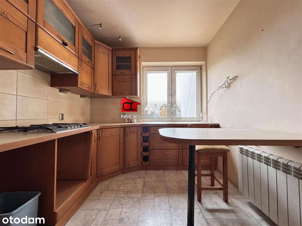 Dom wolnostojący – Świdnica-8