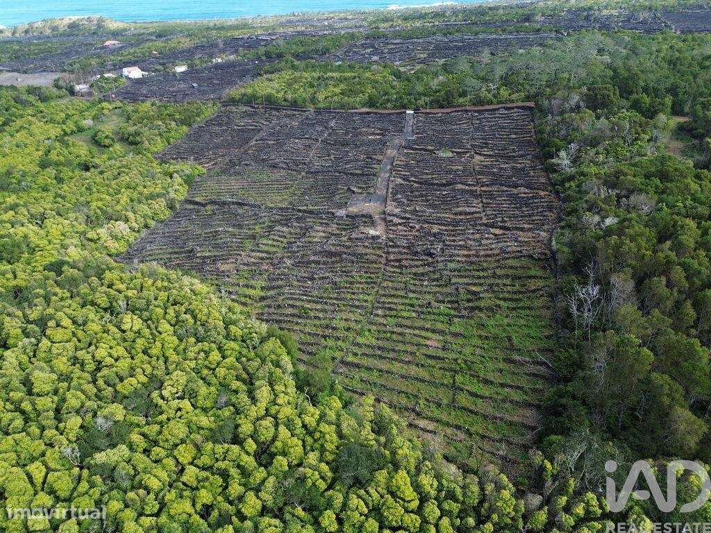 Terreno em Madalena de 20010,00 m2 - Grande imagem: 4/11