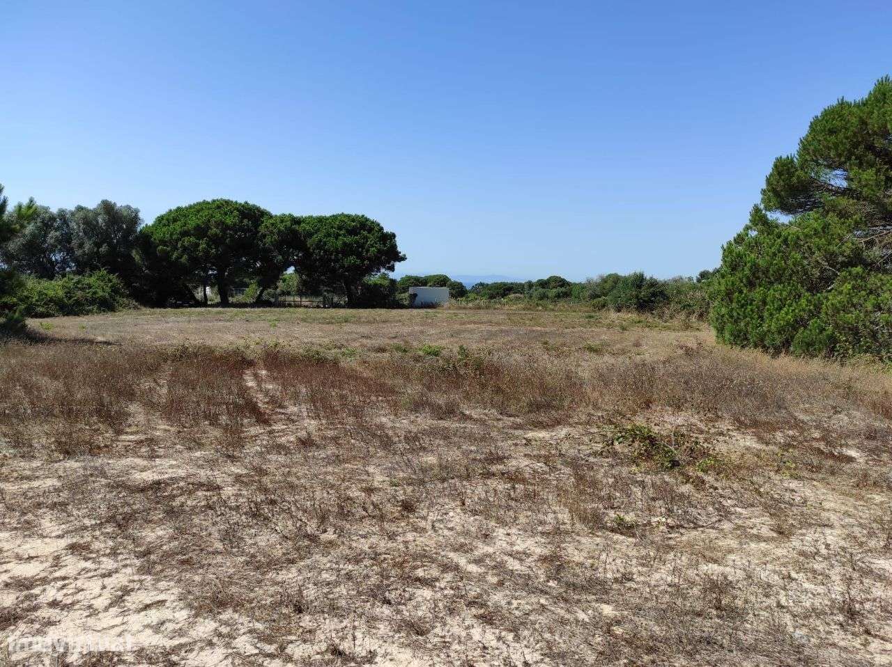 Terreno de 15.600m2 a minutos da Praia da Foz _ Meco, Sesimbra - Grande imagem: 2/4