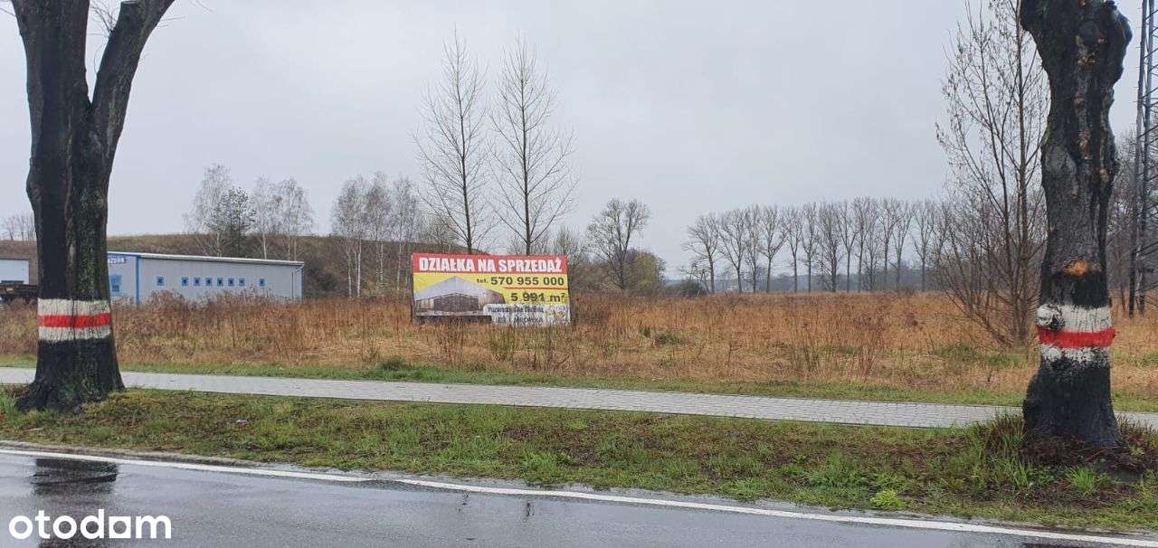 Atrakcyjna działka inwestycyjna 0,599 ha, media - Pełny obrazek: 4/11