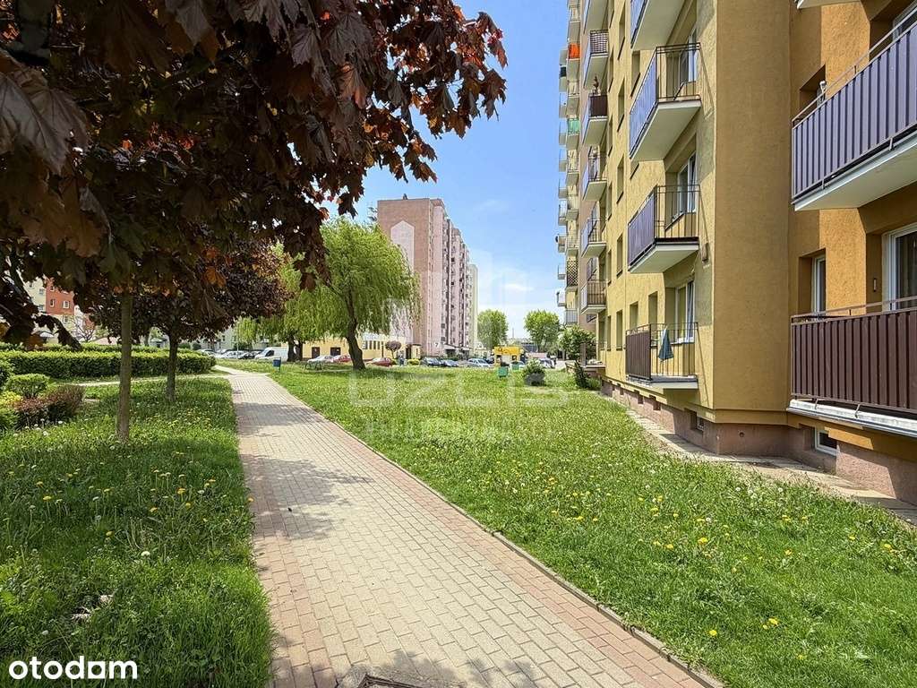 Mieszkanie – Tczew - Widok 2
