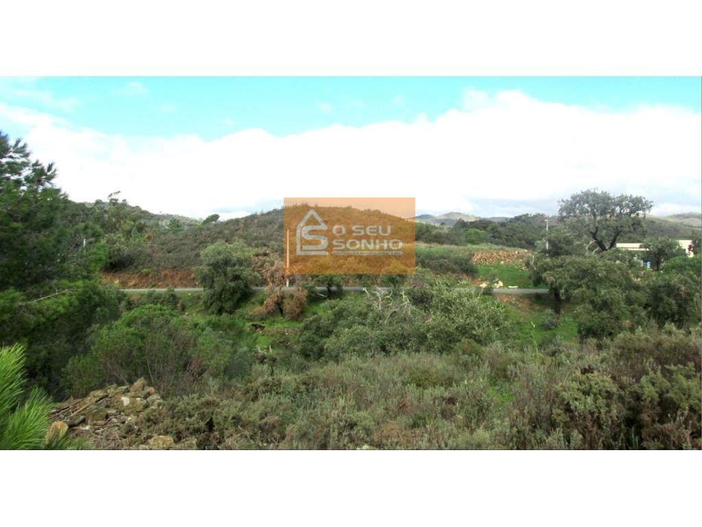 Grande Oportunidade de Negócio - Terreno para Construção em São Brá... - Grande imagem: 5/5