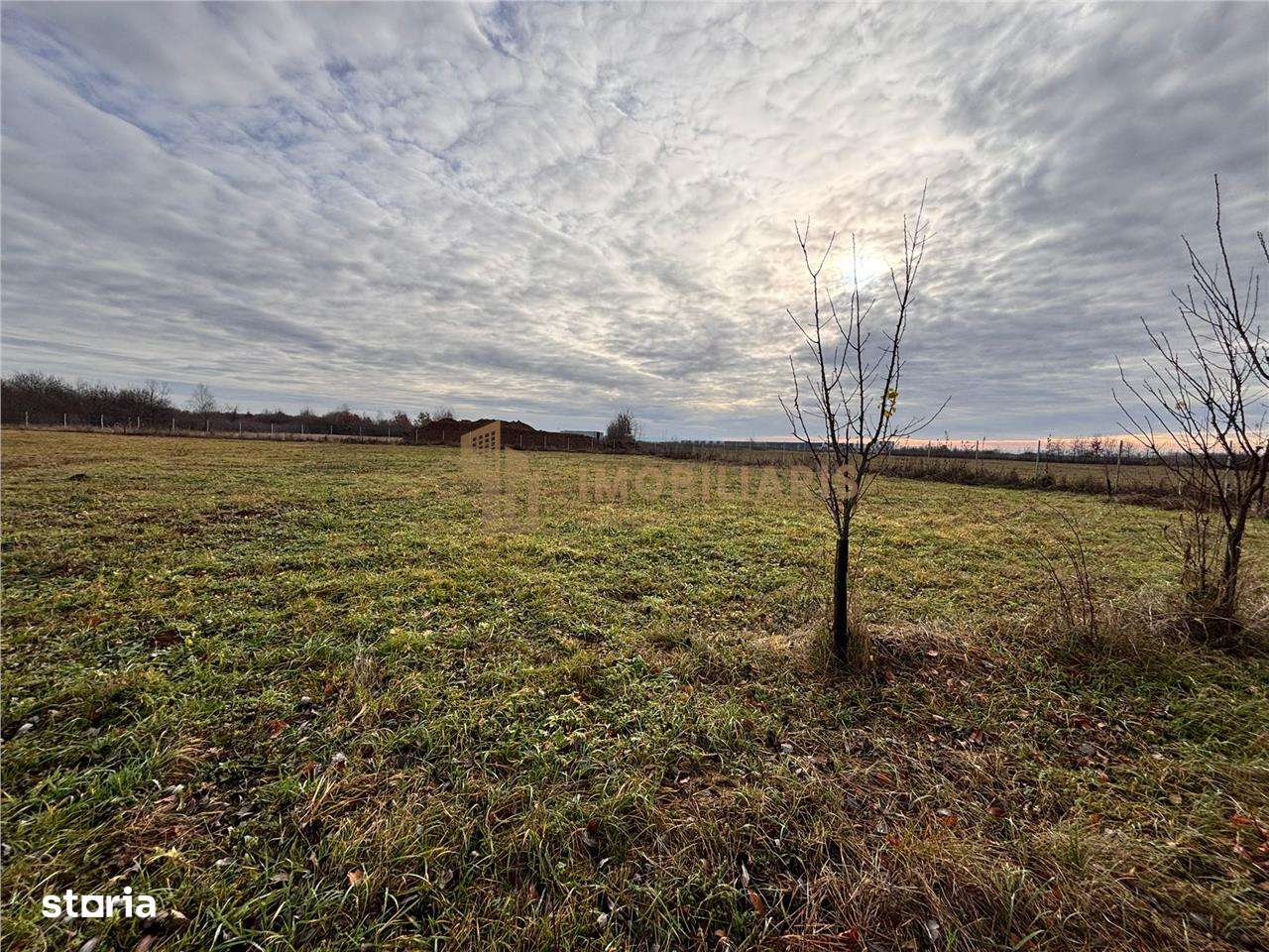 Teren intravilan Tautii Magheraus-1