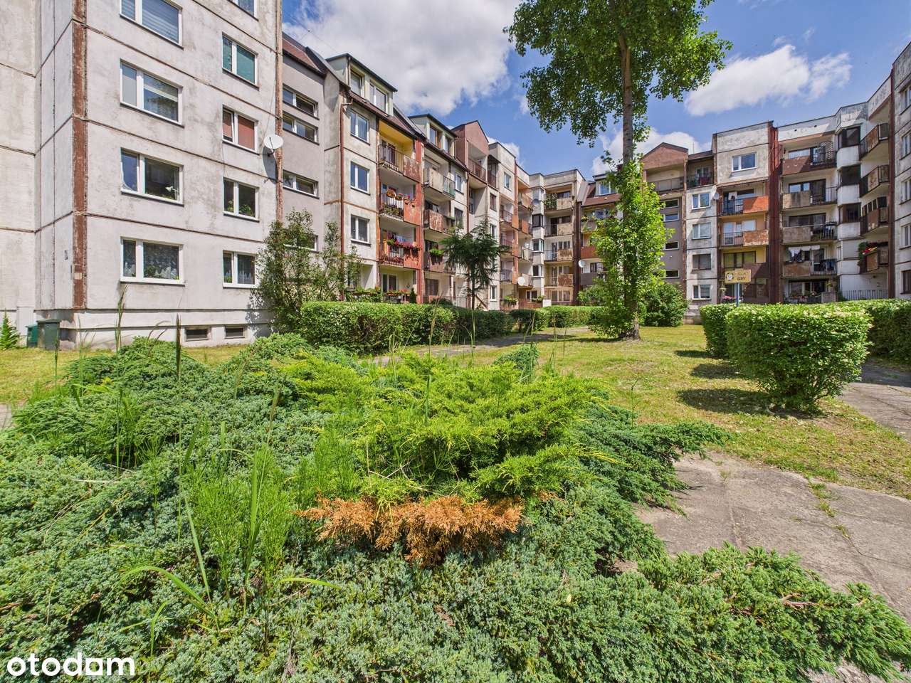 Sosnowiec Centrum Kilińskiego / Kiepury 3 Pokoje CENA DO NEGOCJACJI-18