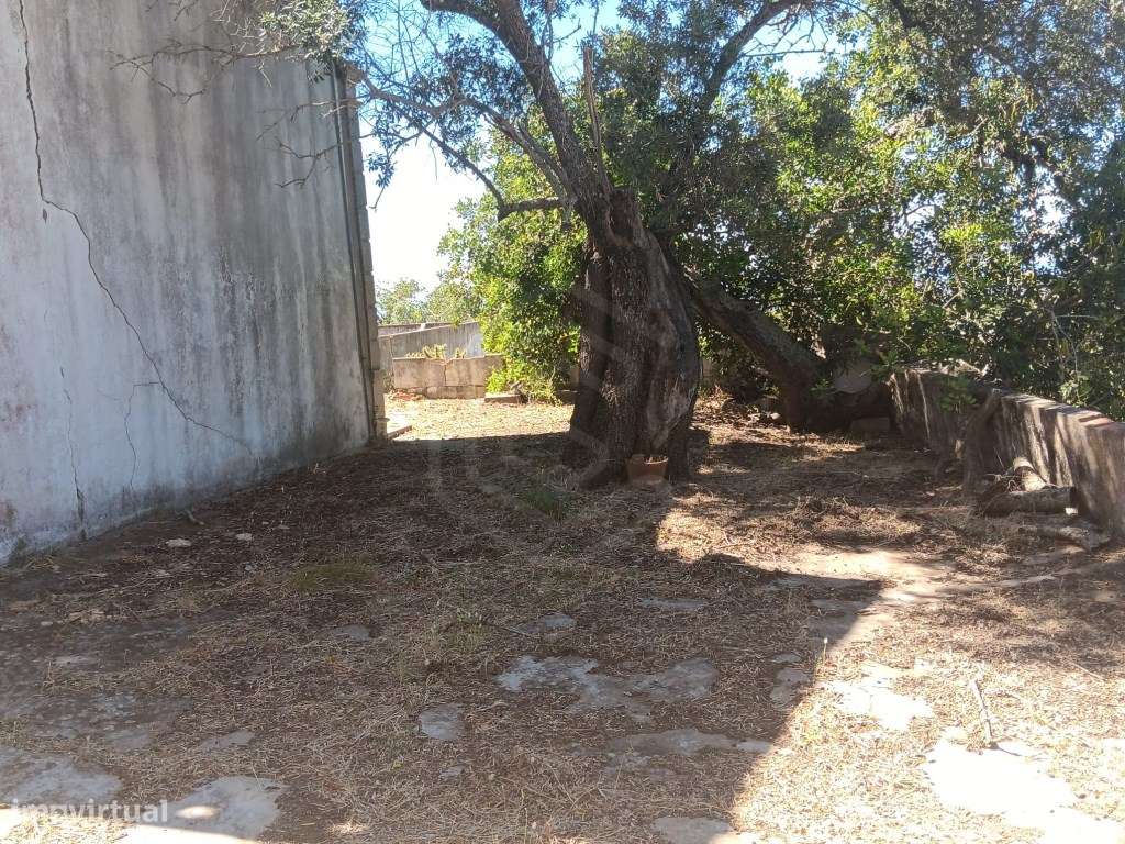 Terreno com ruína, vista mar, Santa Bárbara de Nexe, Faro, Algarve-26