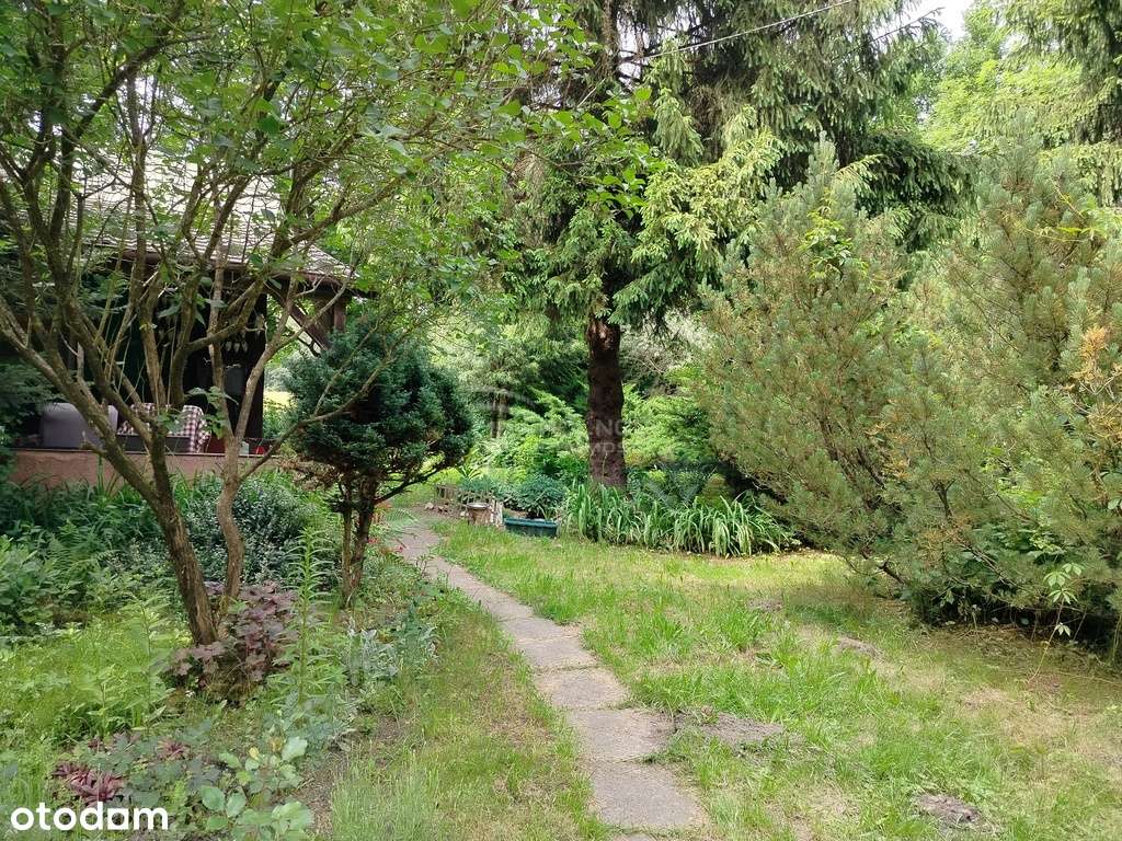 piękne ranczo z łąką i lasem pod Horyńcem-Zdrojem - Pełny obrazek: 3/15