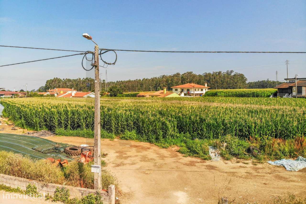Terreno com Elevado Potencial para Investimento – Avanca, Estarreja-30