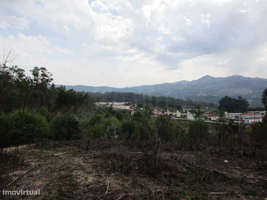 Terreno para construção em Fornelos - Grande imagem: 5/14