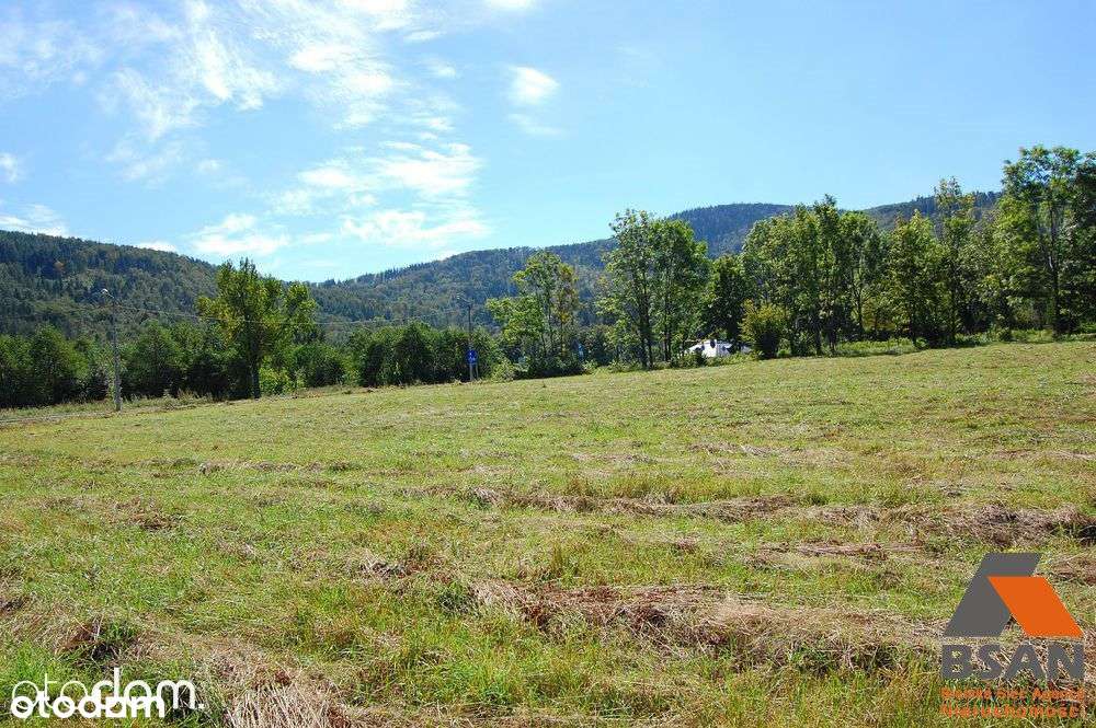 Działka Inwestycyjna 50 Arów - Olszówka Górna - Pełny obrazek: 3/13