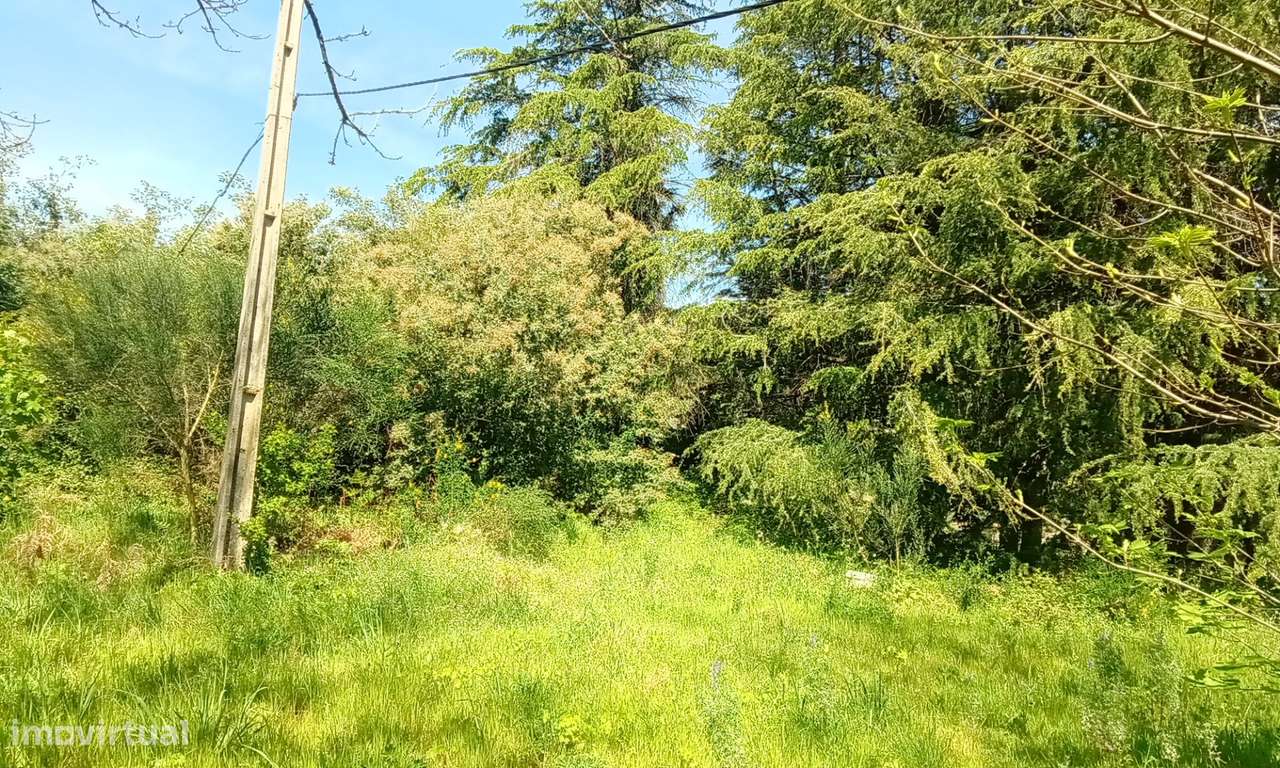 Terreno para Venda em Lamego: Grande Oportunidade de Investimento-25