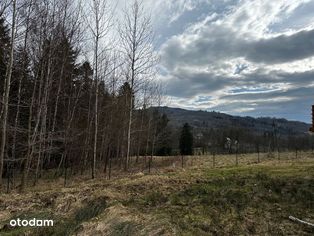 Widokowa działka pod samym lasem w górach