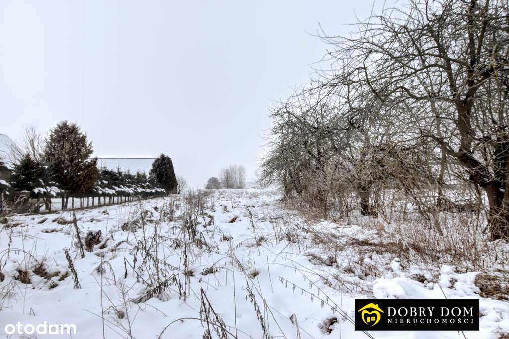 *Dom z bala , podlaska chata  * - Pełny obrazek: 5/10