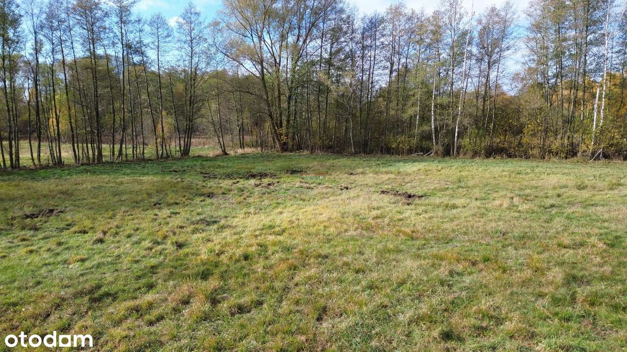 Działkę budowlaną o powierzchni 1100 m - Pełny obrazek: 4/8