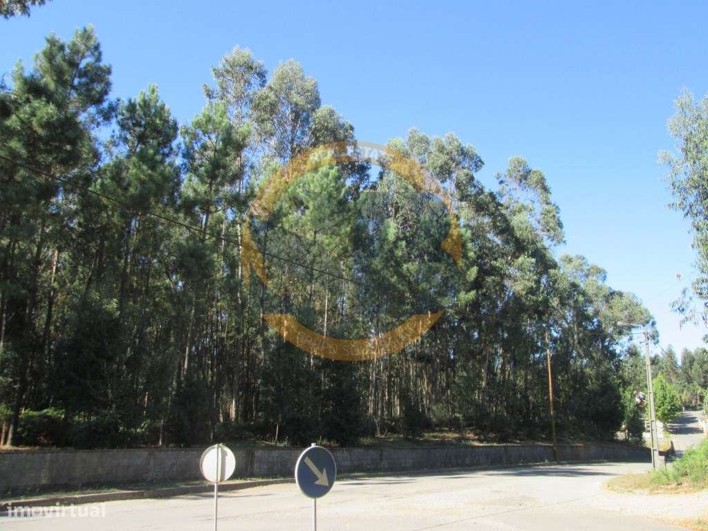 Terreno Venda São Vicente Pereira - Grande imagem: 3/9