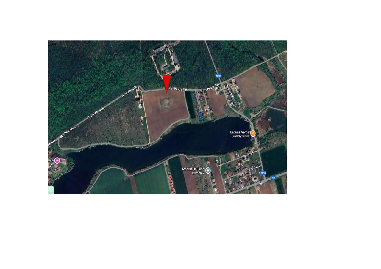 Teren cu acces direct la lac, între pădure și apă – Moara Vlăsiei-4