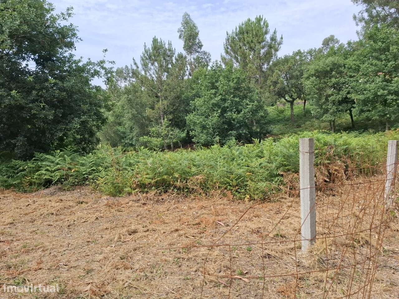 Terreno c/ projeto - Vale de Cambra-14