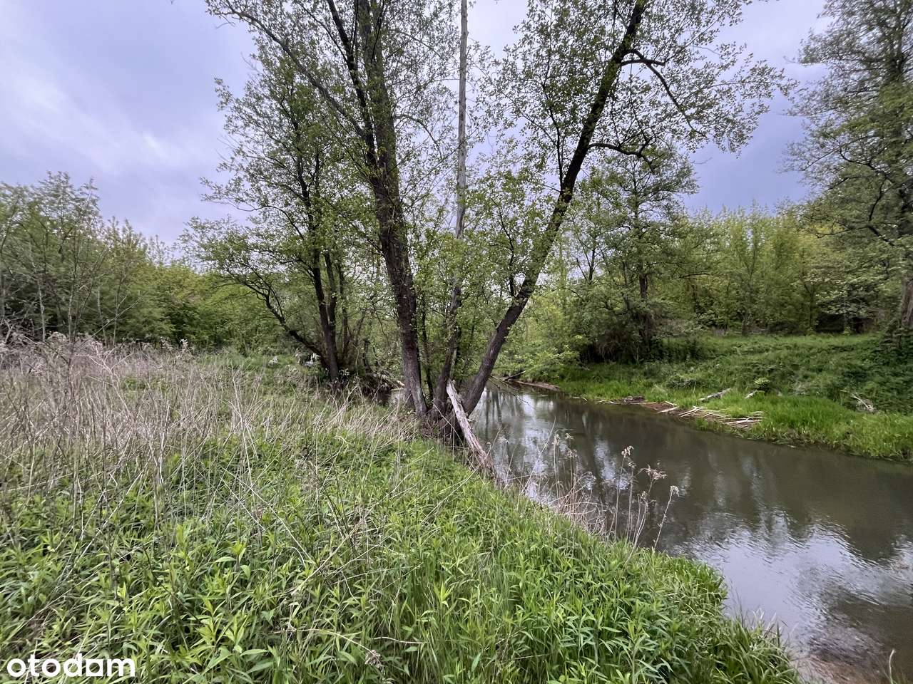 Malownicza działka z linią brzegową Świdra-3