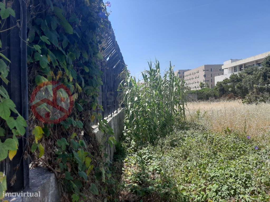 Terreno rústico urbanizável na Ajuda, Lisboa - Grande imagem: 3/17