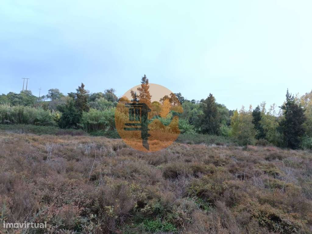 TERRENO RUSTICO COM 9.400 M2 JUNTO A ESTAÇÃO DE COMBOIO DE CASTRO M...-7