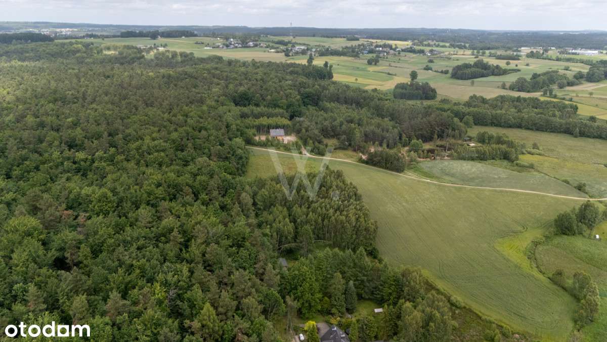 Działka rolna 1500 m² – Donimierz, gm. Szemud - Pełny obrazek: 5/7