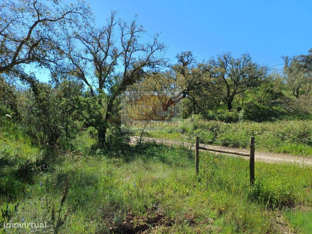 Propriedade na serra para Turismo - 30 minutos das praias - Grande imagem: 4/12
