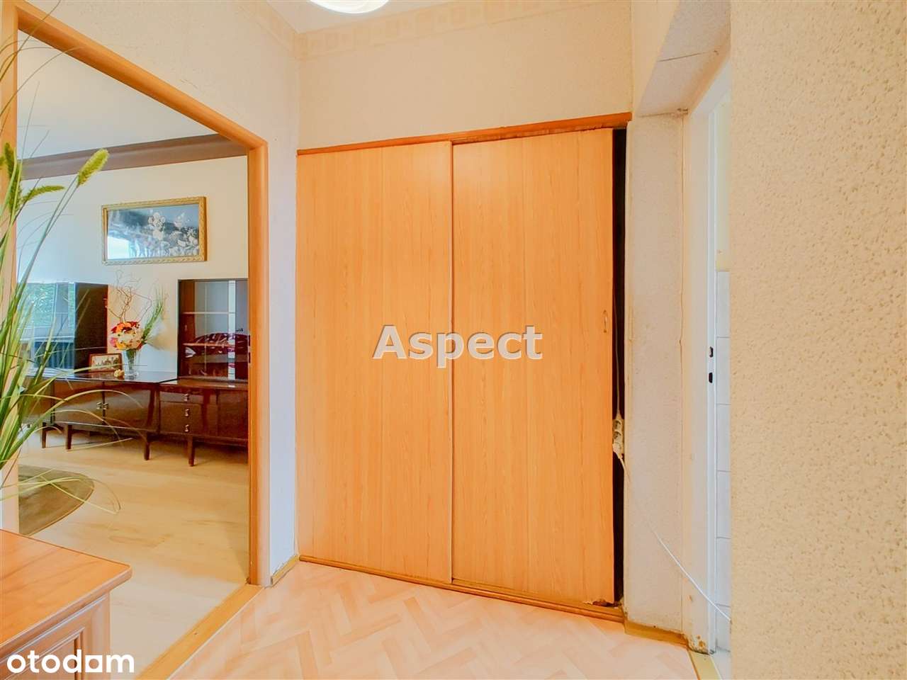 Małe mieszkanie,wielkie możliwości - Pełny obrazek: 5/6