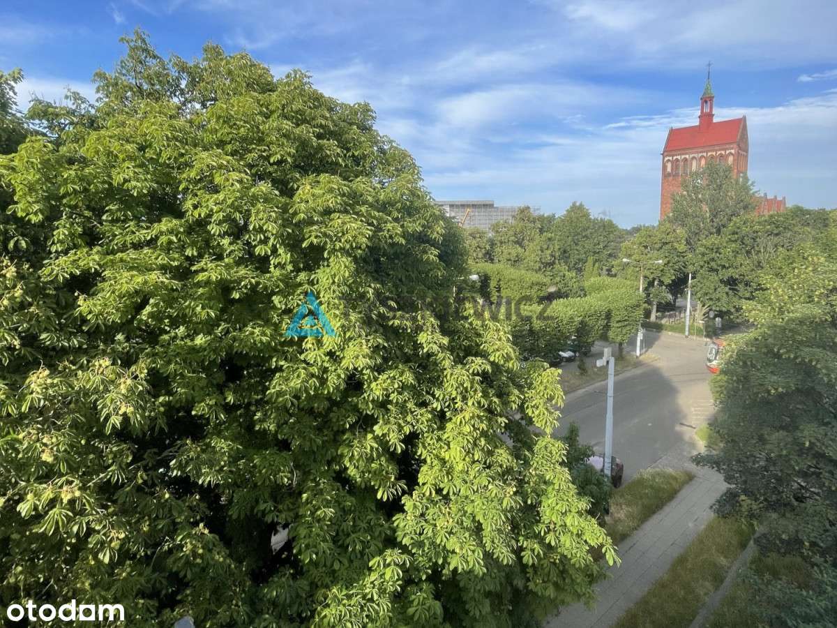 2 pokoje - Nowy Port - Pełny obrazek: 5/16