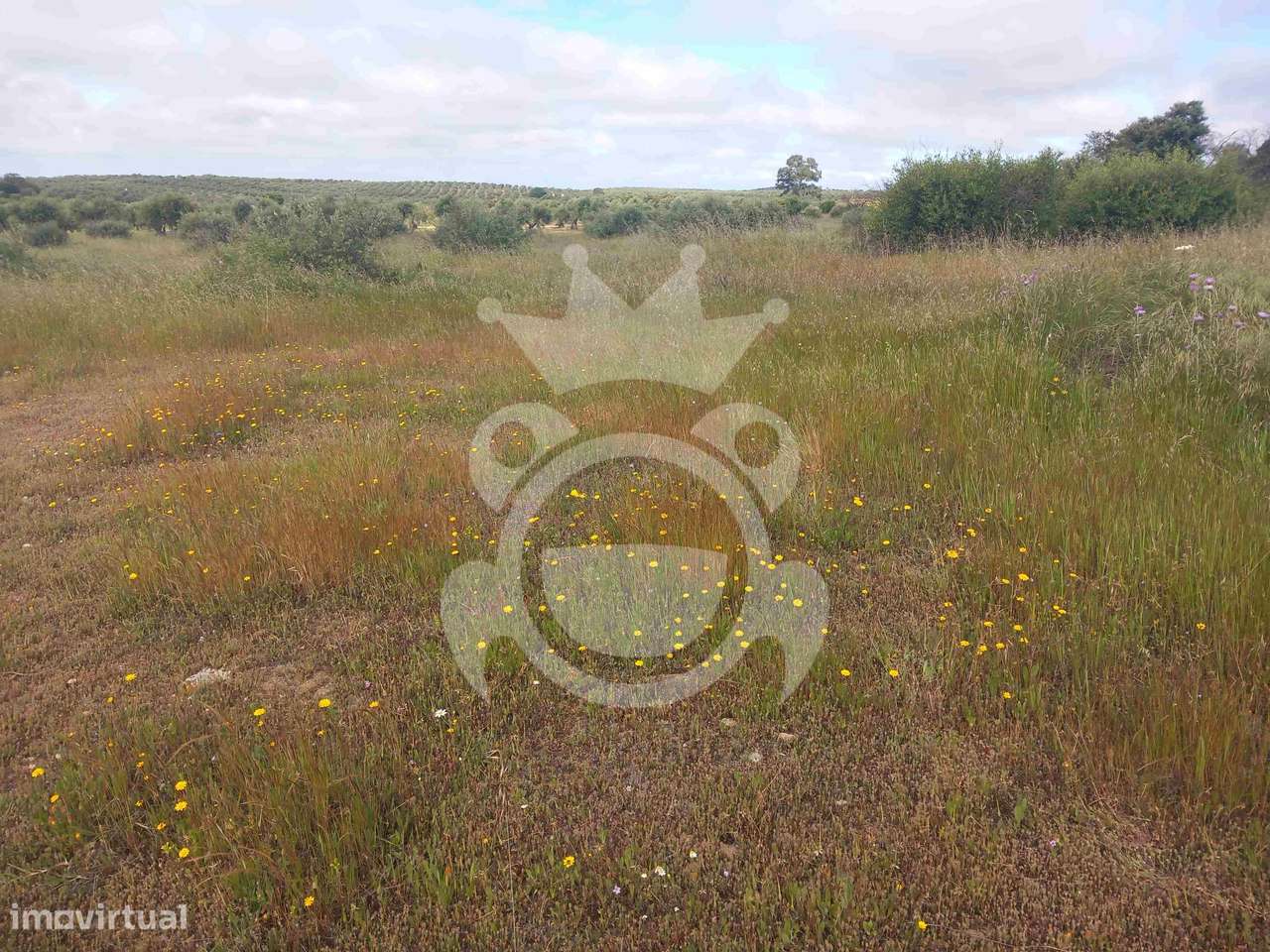 Terreno Rústico com ruína - 3Ha-11