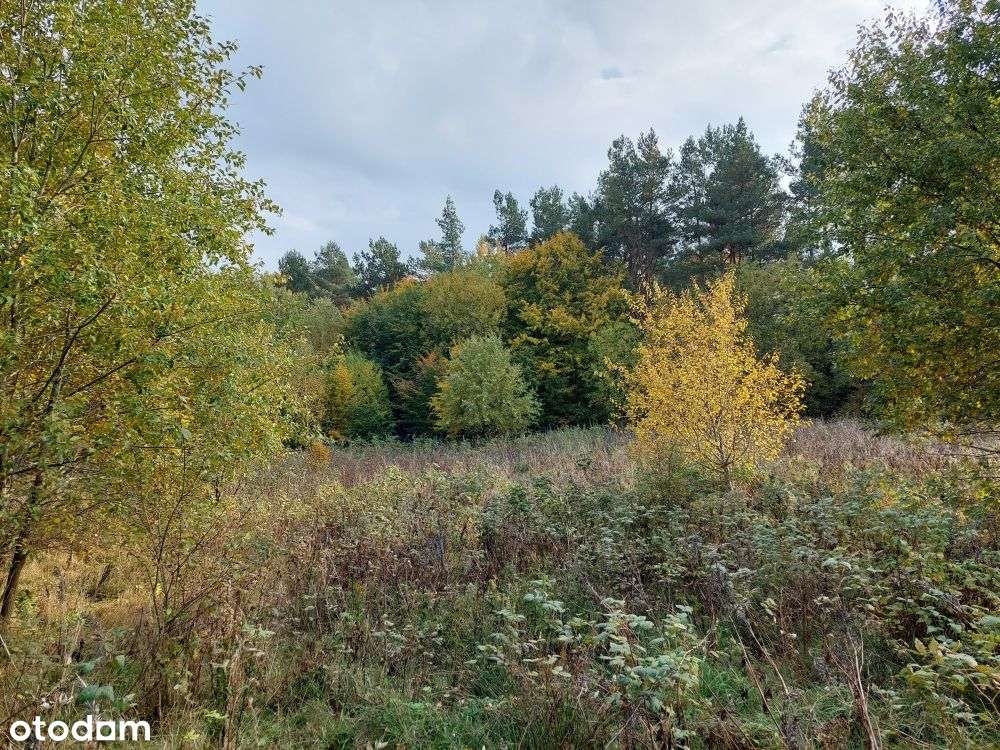 Działka budowlana na sprzedaż-4