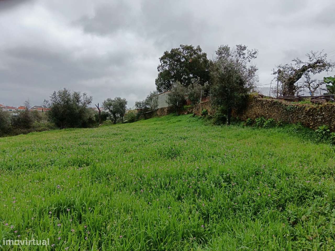 Quintinha - Grande imagem: 5/19