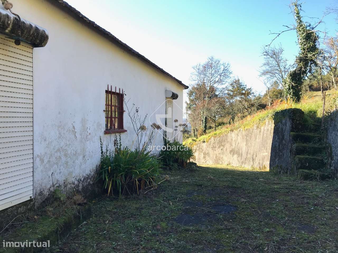 Quintinha com dois edificados, 4800m2 de terreno, na freguesia de Insa - Grande imagem: 5/45