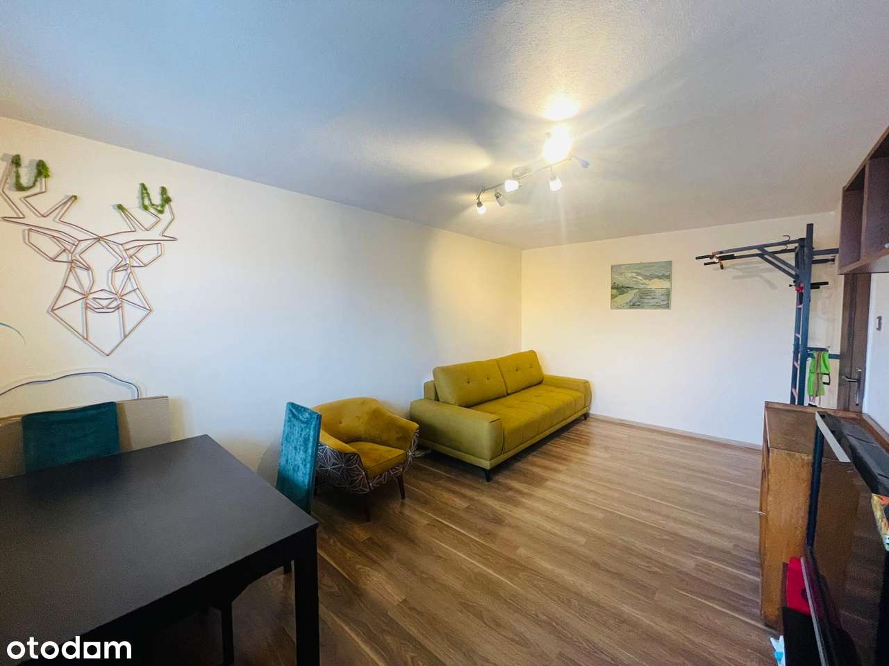 Bezpośrednio 2‑pokojowe z balkonem, komórką lokatorską i piwnicą-4