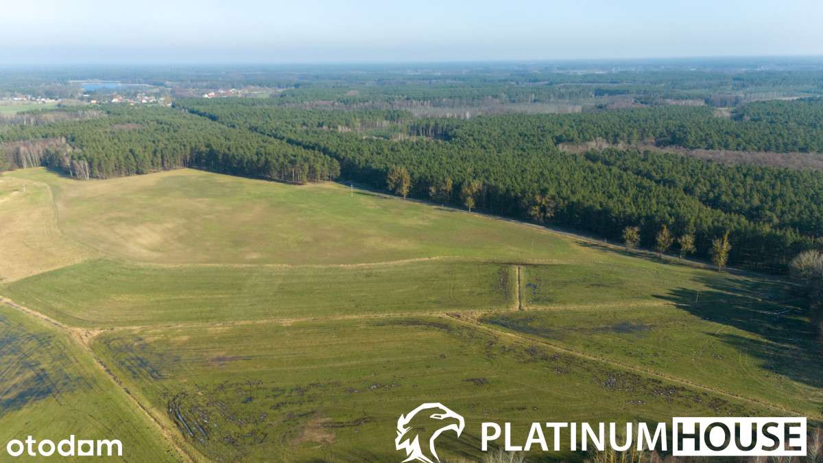 Działka rolna 4,26 ha | Lutol Mokry | Inwestycja - Pełny obrazek: 5/11