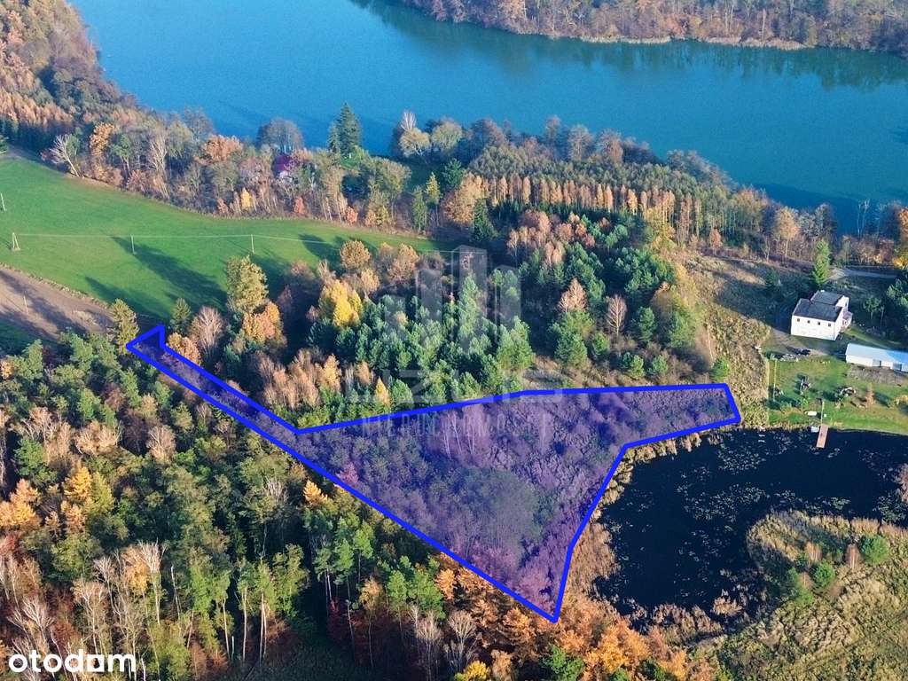 Działka 5000 m² | Widok na wodę | Las - Pełny obrazek: 3/17