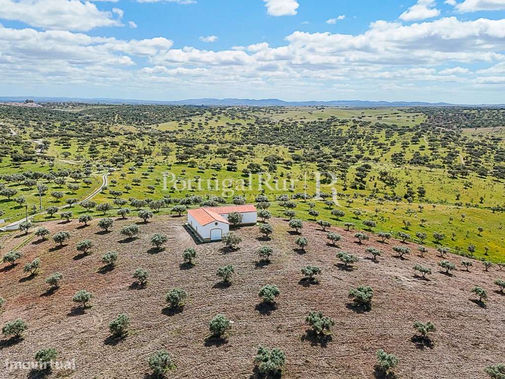Herdade no Grande Lago do Alqueva - Projeto Turístico Aprovado (T10) - Grande imagem: 5/30