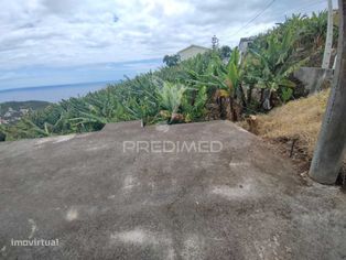 Ilha da Madeira - terreno para construção de moradia - Grande imagem: 3/18