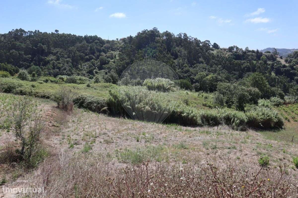 Terreno  para venda-6