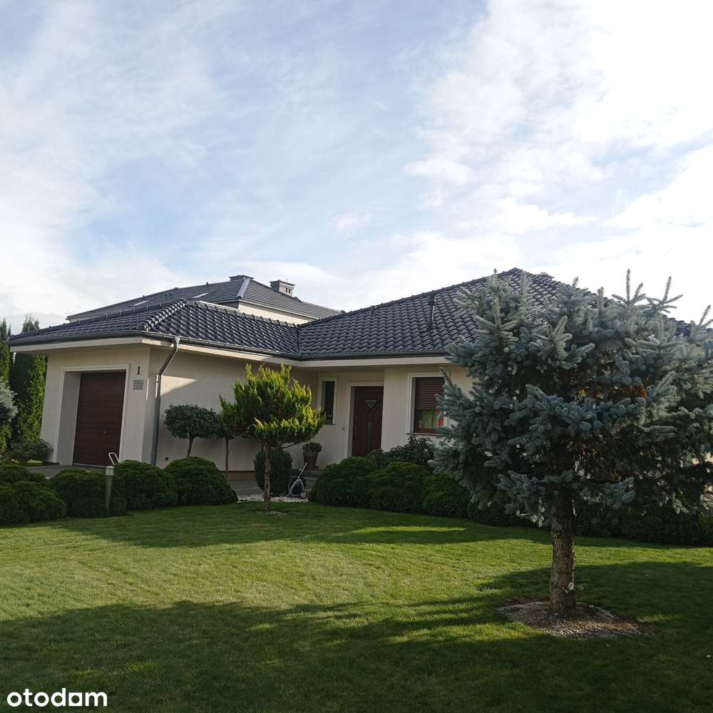 Przestronny dom parterowy  z ogrodem - Pełny obrazek: 4/14