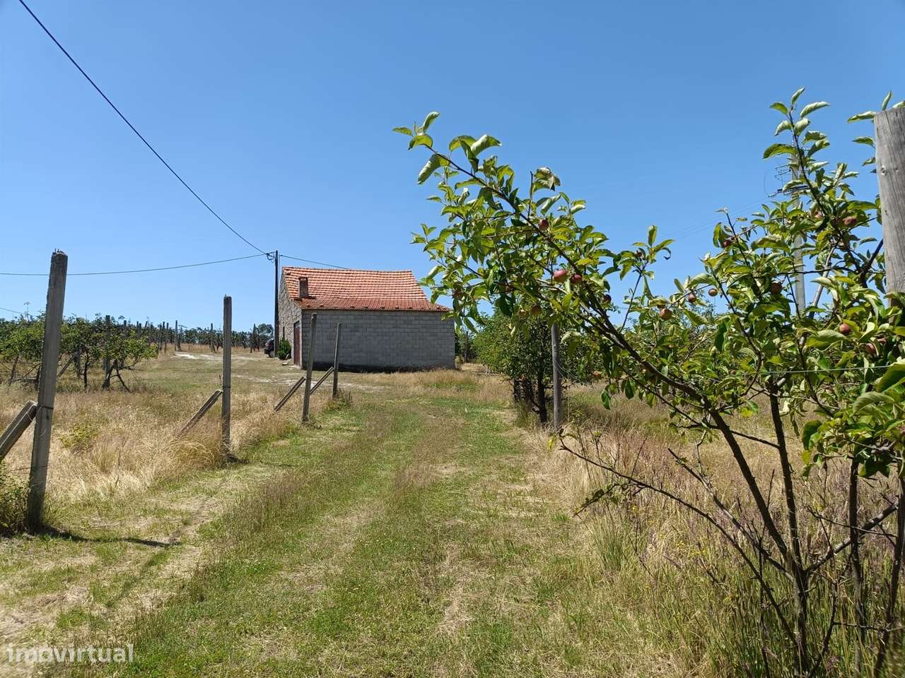 Quinta  Venda em Santa Marinha e São Martinho,Seia - Grande imagem: 5/21