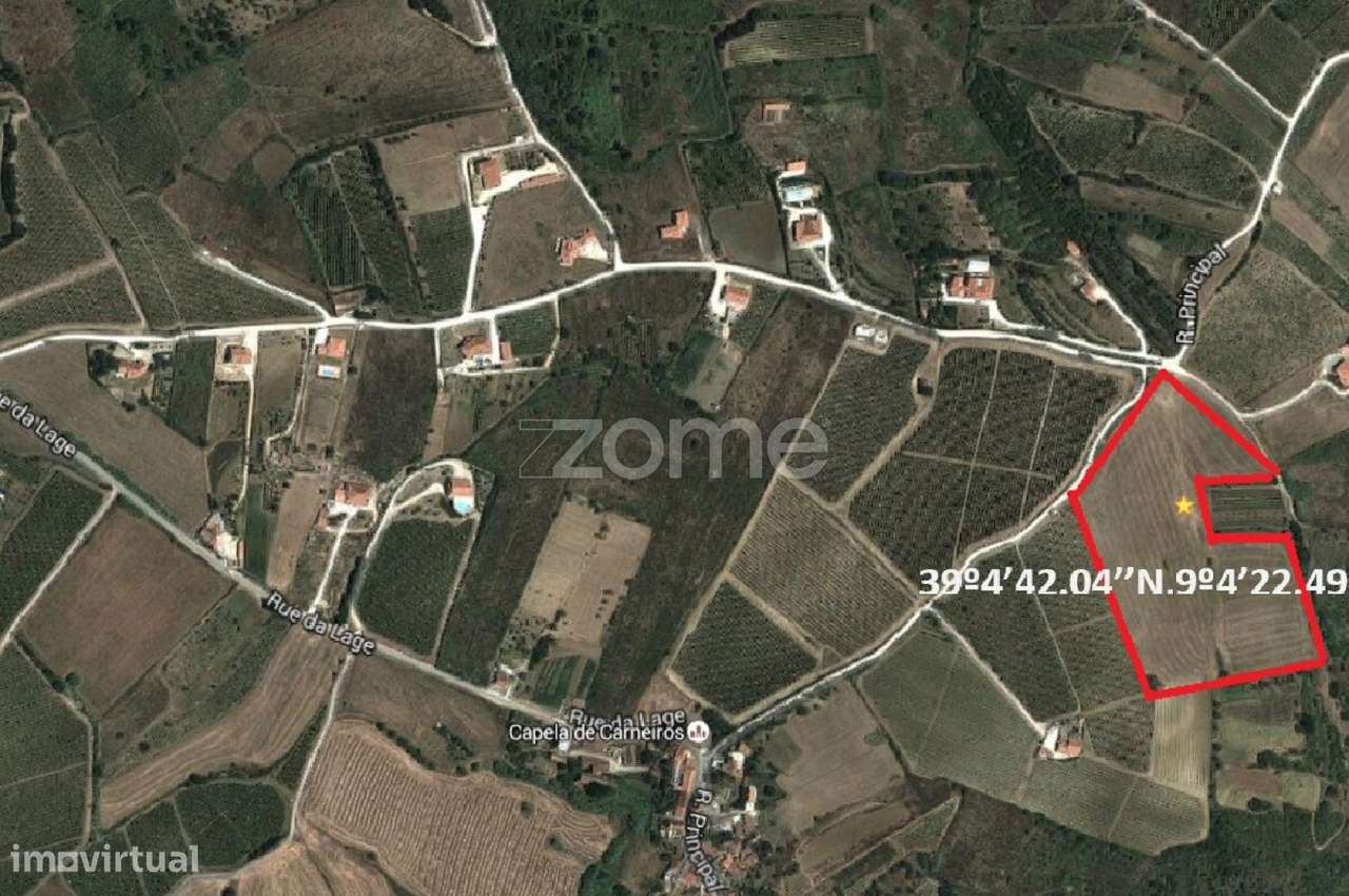 Terreno rústico em Lugar dos Carneiros, Ribafria, Alenquer - Grande imagem: 2/9