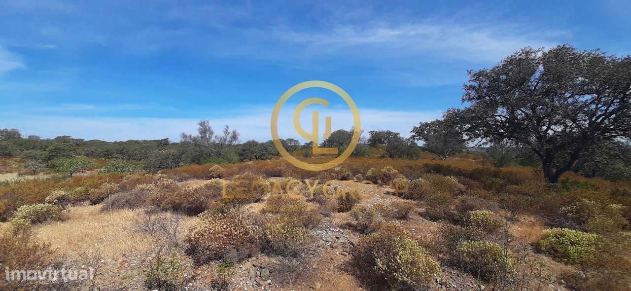 Terreno Rústico Azinhal / Castro Marim-13