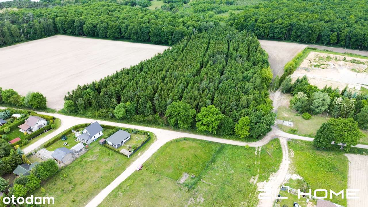 DZIAŁKA nad JEZIOREM Nowy Dębiec | 833m2 | MPZP | - Pełny obrazek: 5/10