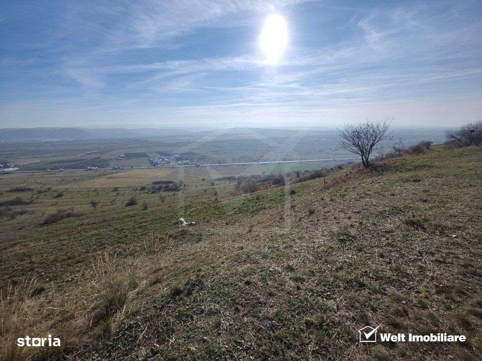 Teren zona Colonia Hodai, 10320 mp, Utr - TDA-L, terasat, acces auto - Imagine principală: 2/6