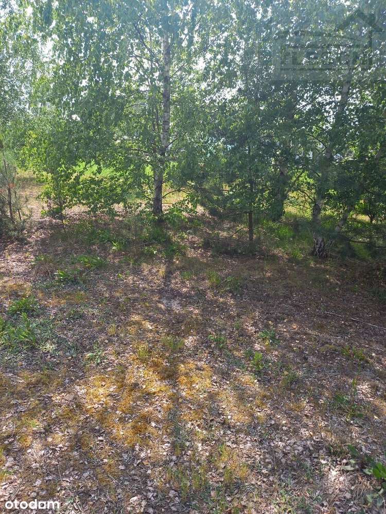 Działka budowlana 1118m2 Stara Wieś - Pełny obrazek: 5/5