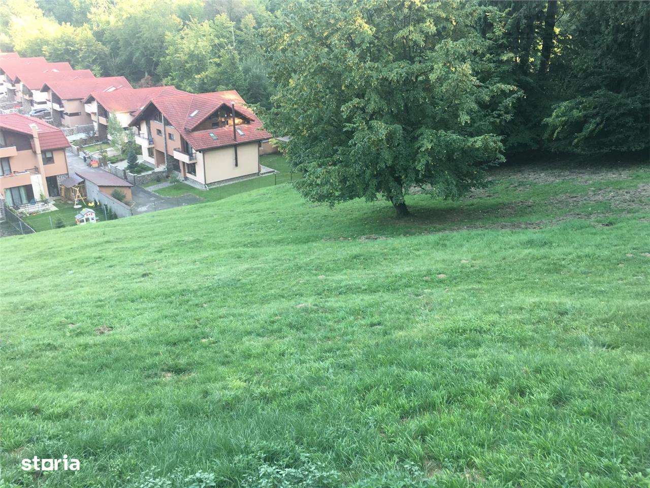 Teren pentru dezvoltatori, 2900mp Noua-Darste - Imagine principală: 2/3